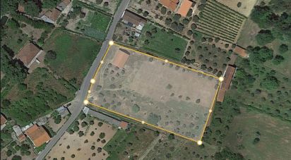 Terrain à Pedrógão Pequeno de 6 000 m²
