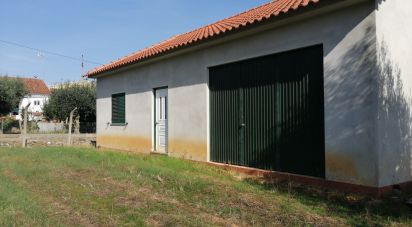 Terrain à Pedrógão Pequeno de 6 000 m²