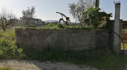 Terrain à Pedrógão Pequeno de 6 000 m²