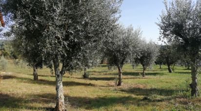 Terrain à Pedrógão Pequeno de 6 000 m²