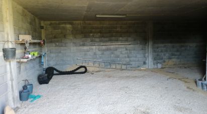 Terrain à Pedrógão Pequeno de 6 000 m²