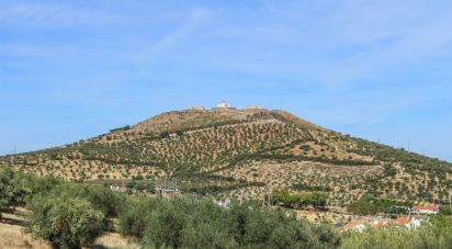 Ferme T0 à Assunção, Ajuda, Salvador e Santo Ildefonso de 2 500 m²