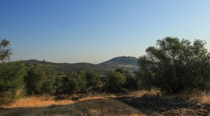 Ferme T0 à Assunção, Ajuda, Salvador e Santo Ildefonso de 2 500 m²