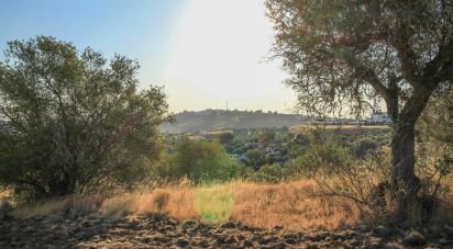 Ferme T0 à Assunção, Ajuda, Salvador e Santo Ildefonso de 2 500 m²