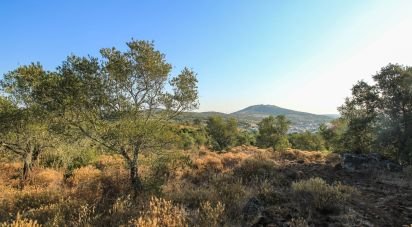 Ferme T0 à Assunção, Ajuda, Salvador e Santo Ildefonso de 2 500 m²