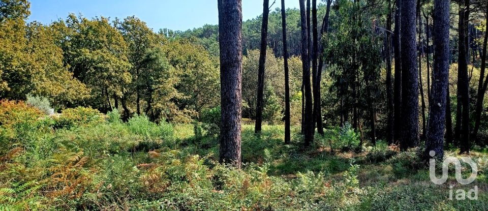 Terreno urbano em Freixieiro de Soutelo de 1 520 m²