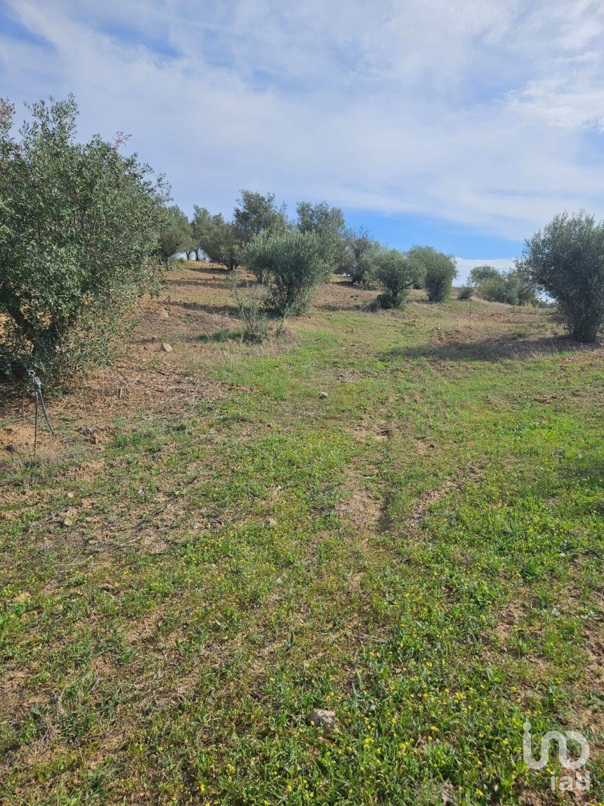 Terreno rústico em Selmes de 3 125 m²