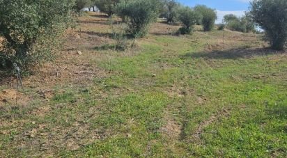 Terrain agricole à Selmes de 3 125 m²