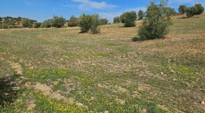 Agricultural land in Selmes of 3,125 m²