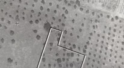 Terrain agricole à Selmes de 3 125 m²