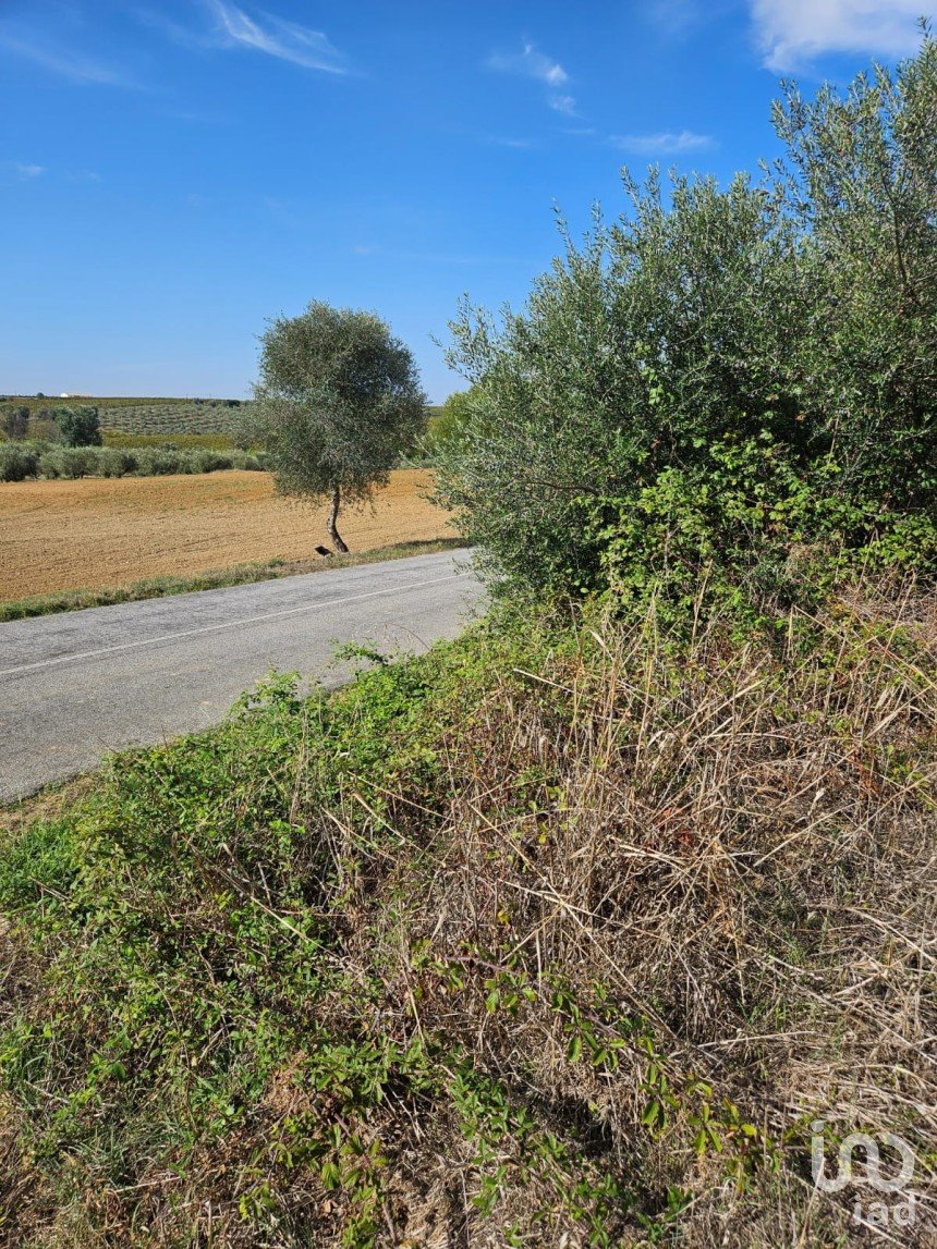 Terreno rústico em Selmes de 4 750 m²