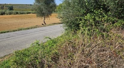 Agricultural land in Selmes of 4,750 m²