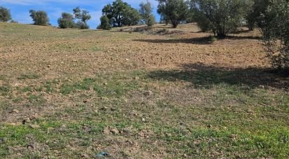 Terrain agricole à Selmes de 4 750 m²