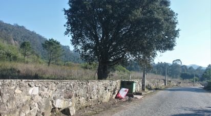Terrain à bâtir à Esposende, Marinhas e Gandra de 164 130 m²