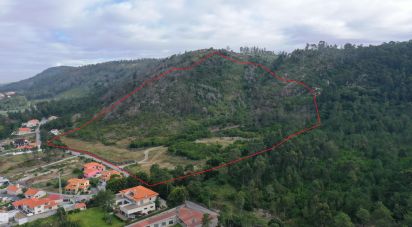 Terrain à bâtir à Esposende, Marinhas e Gandra de 164 130 m²
