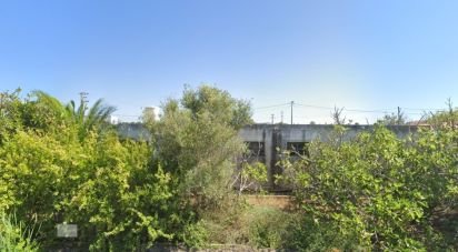 Land in Luz of 11,650 m²