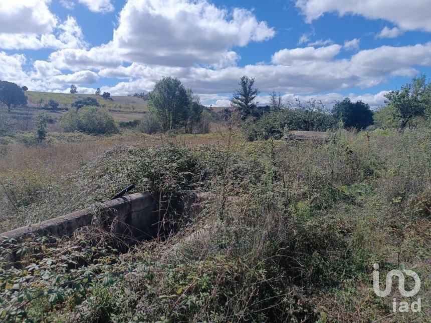 Agricultural land in Azinhoso of 2,874 m²