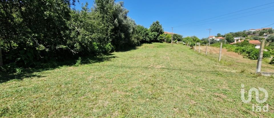 Terrain agricole à Torre E Vila Mou de 917 m²