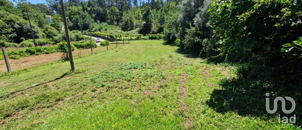 Terrain agricole à Torre E Vila Mou de 917 m²