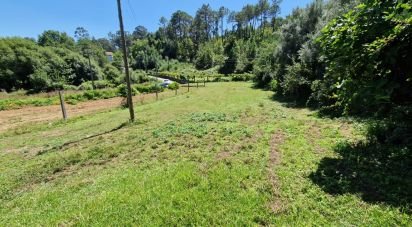 Agricultural land in Torre E Vila Mou of 917 m²