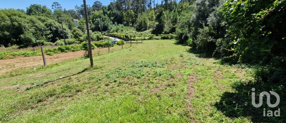 Terrain agricole à Torre E Vila Mou de 917 m²