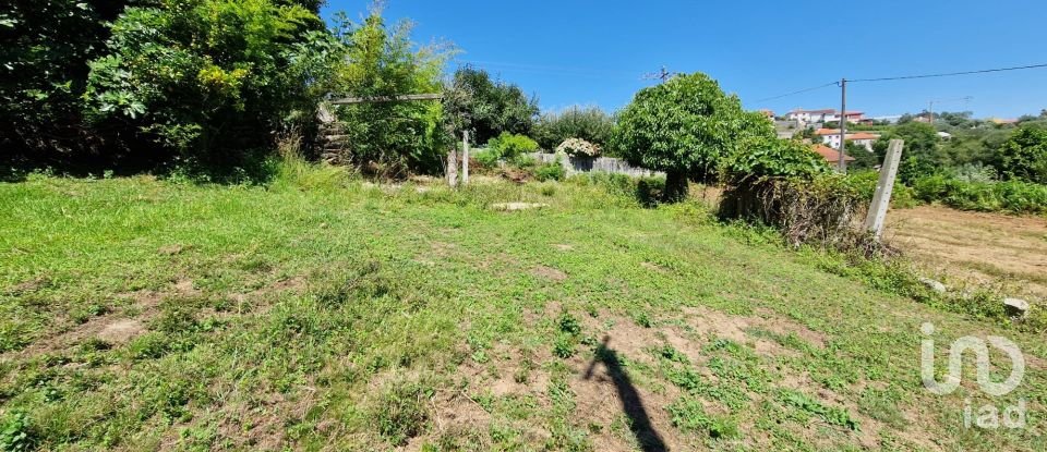 Terrain agricole à Torre E Vila Mou de 917 m²