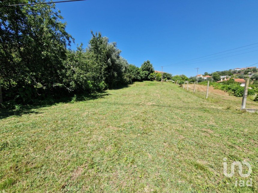 Terrain agricole à Torre E Vila Mou de 917 m²