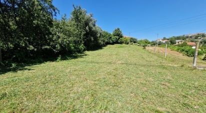 Terrain agricole à Torre E Vila Mou de 917 m²