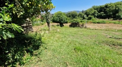 Terrain agricole à Torre E Vila Mou de 917 m²