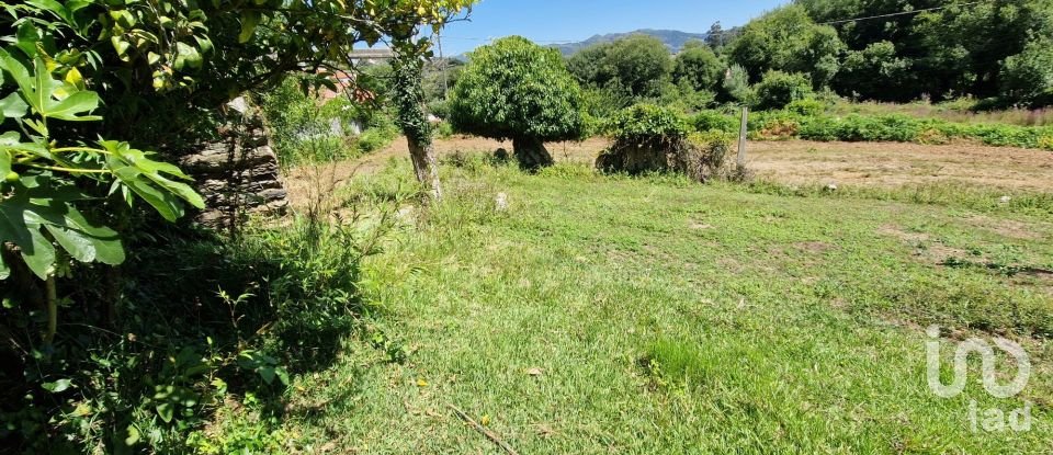Terrain agricole à Torre E Vila Mou de 917 m²