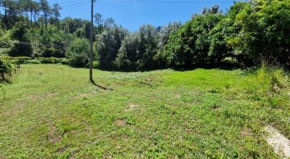 Terrain agricole à Torre E Vila Mou de 917 m²