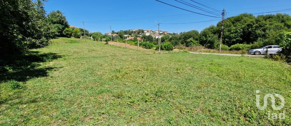 Agricultural land in Torre E Vila Mou of 917 m²