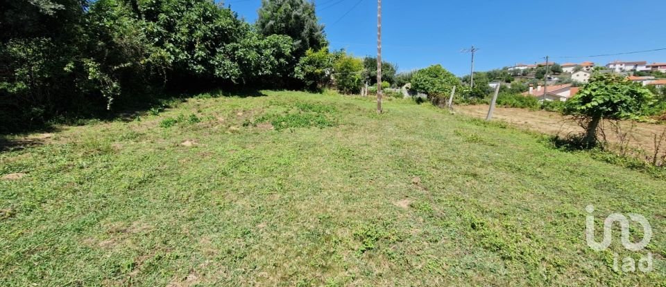 Terrain agricole à Torre E Vila Mou de 917 m²