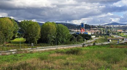 Land in Palmeira of 36,000 m²