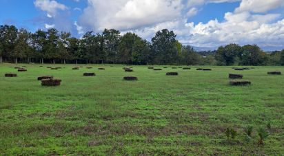 Land in Palmeira of 36,000 m²