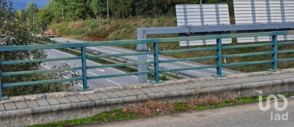 Terrain à Palmeira de 36 000 m²