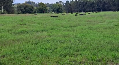 Terrain à Palmeira de 36 000 m²