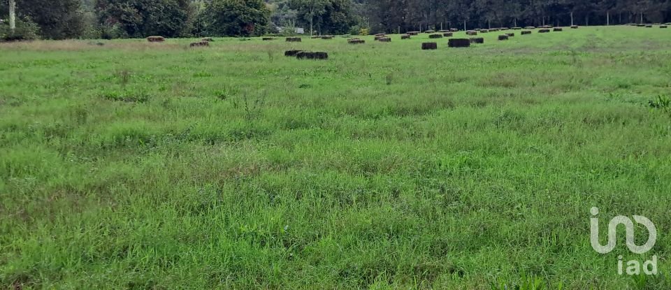 Terrain à Palmeira de 36 000 m²