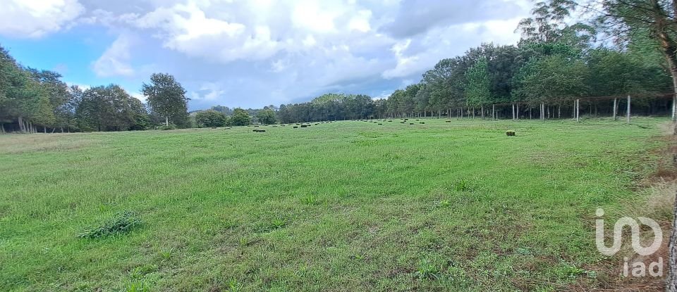 Land in Palmeira of 36,000 m²