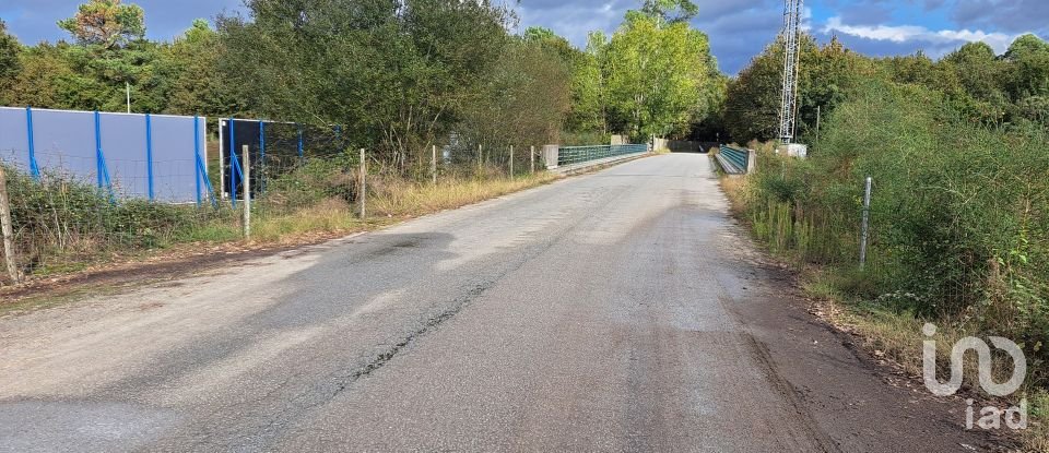 Terrain à Palmeira de 36 000 m²