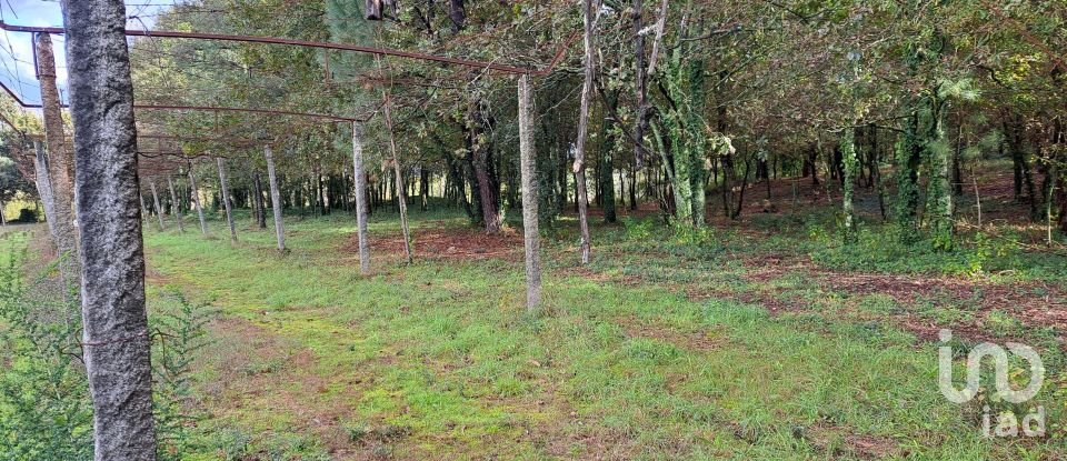 Land in Palmeira of 36,000 m²