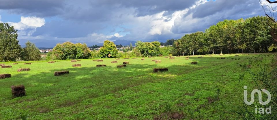 Terrain à Palmeira de 36 000 m²