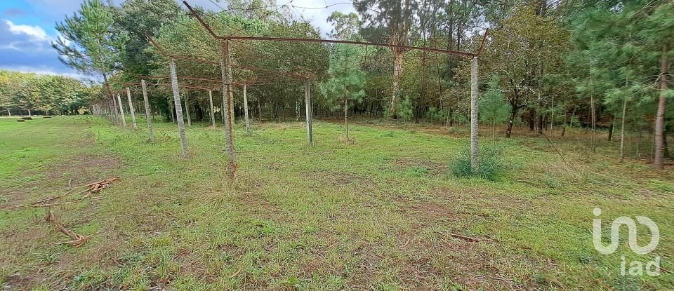 Terrain à Palmeira de 36 000 m²