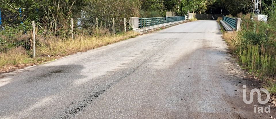 Terrain à Palmeira de 36 000 m²