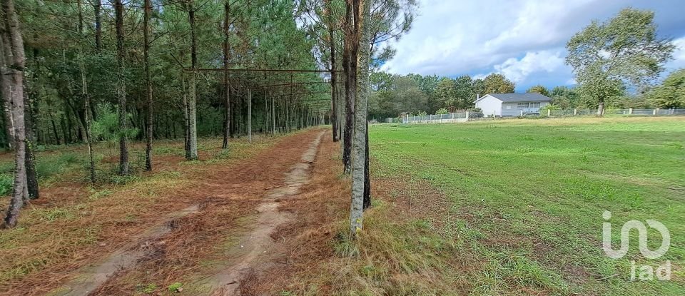 Terrain à Palmeira de 36 000 m²