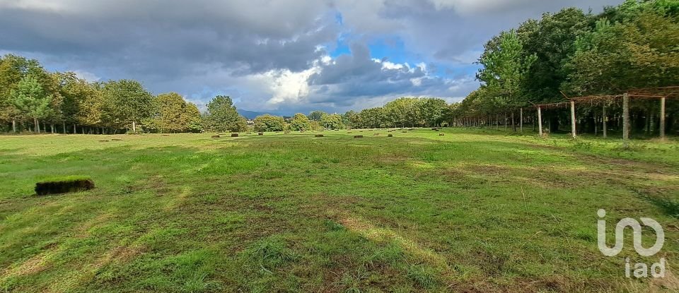 Terrain à Palmeira de 36 000 m²