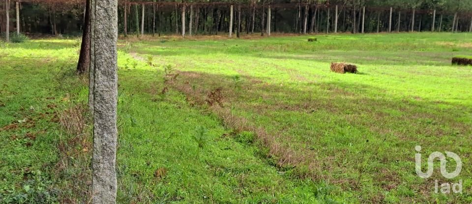 Terrain à Palmeira de 36 000 m²