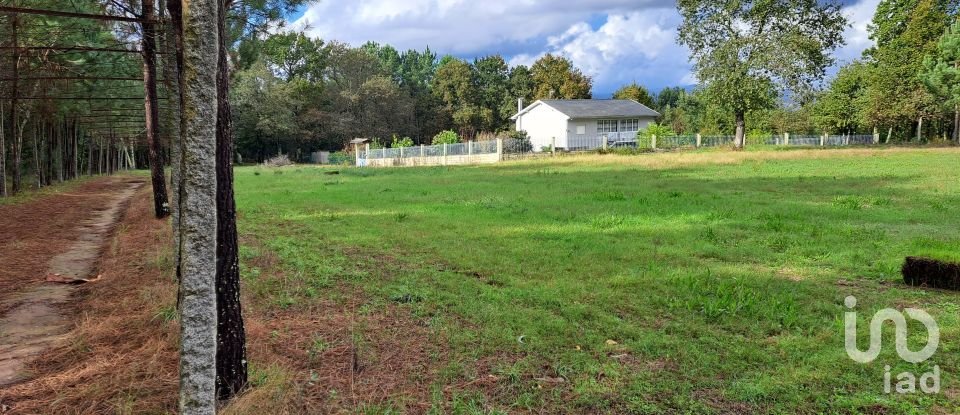 Terrain à Palmeira de 36 000 m²