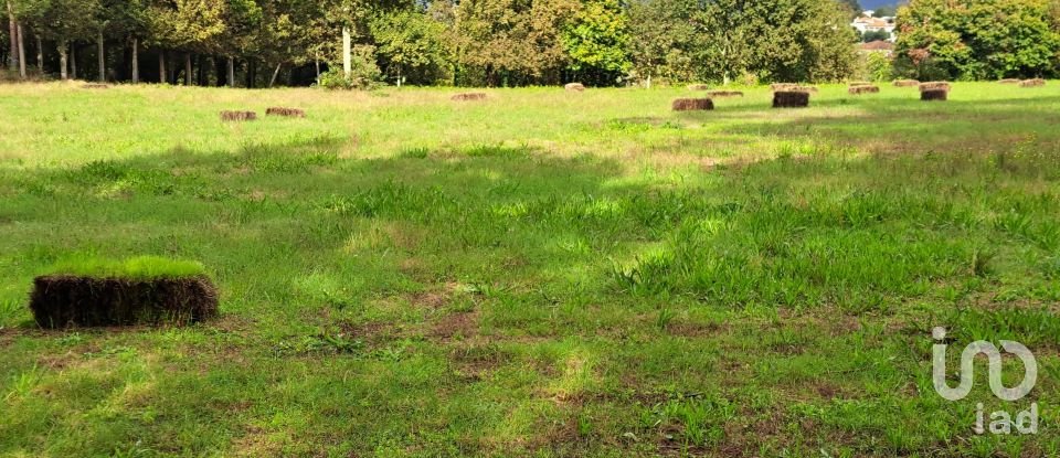 Terrain à Palmeira de 36 000 m²