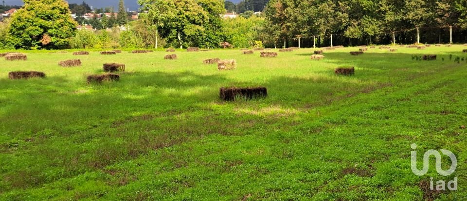 Terrain à Palmeira de 36 000 m²